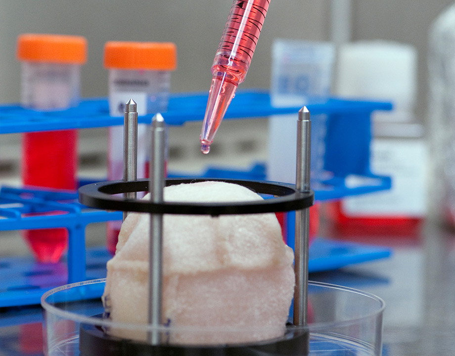 3D-Printed Organs Nearing Clinical Trials - ASME