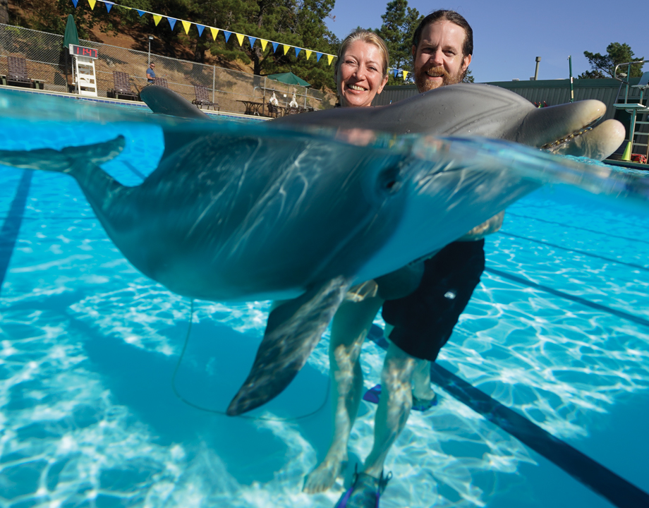 An animatronic dolphin may be the harbinger of a new era for aquariums that  rely on marine mammals for entertainment - ASME