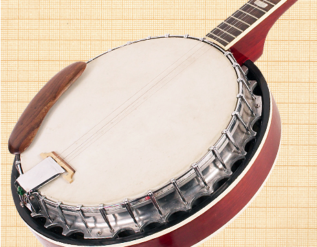 Banjo deals similar instrument