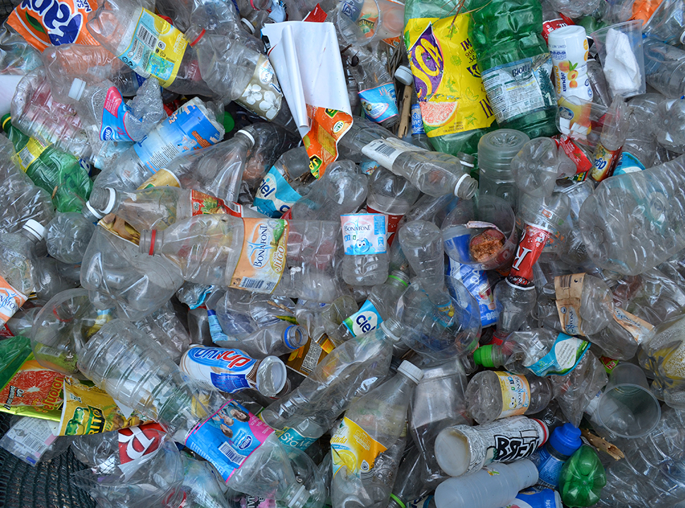 Scientists+Discover+New+Enzyme+That+Decomposes+Plastic+Waste+Rapidly