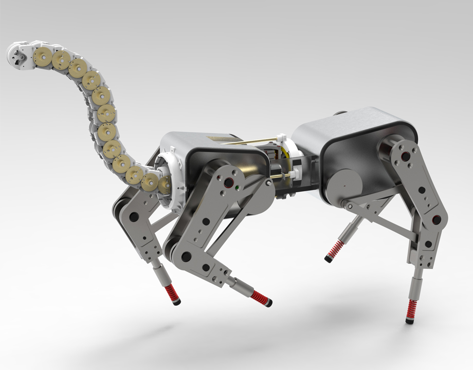 Design of store dynamic legged robots