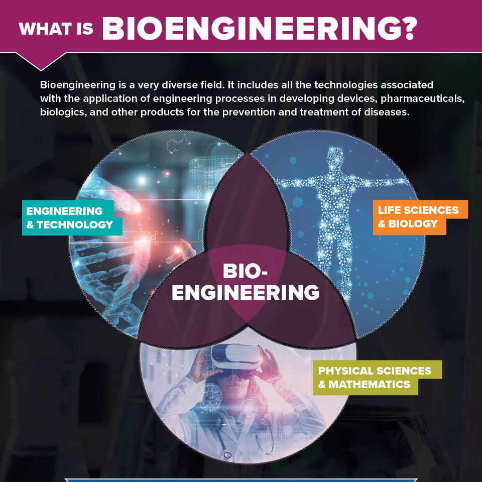 Top 5 Infographics Of 2020 - ASME