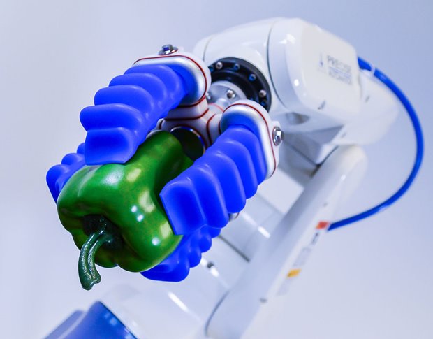 Soft grippers are revolutionizing robotic interactions. - ASME