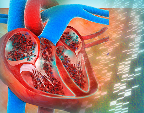 3d printed tissue