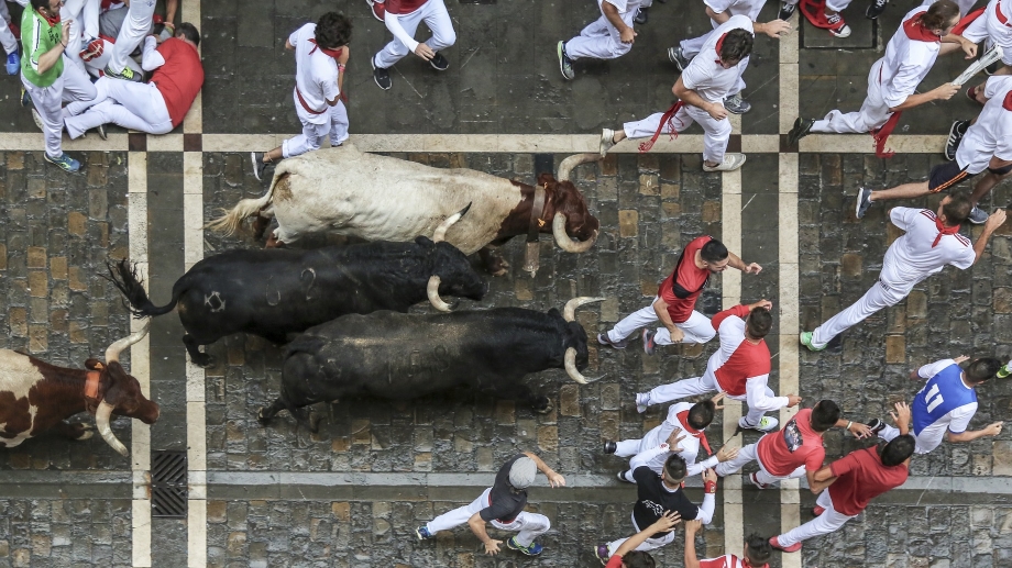 New Research Suggests How The Running Of The Bulls Could Aid ...